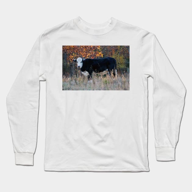 Cow In The Meadow Long Sleeve T-Shirt by Cynthia48